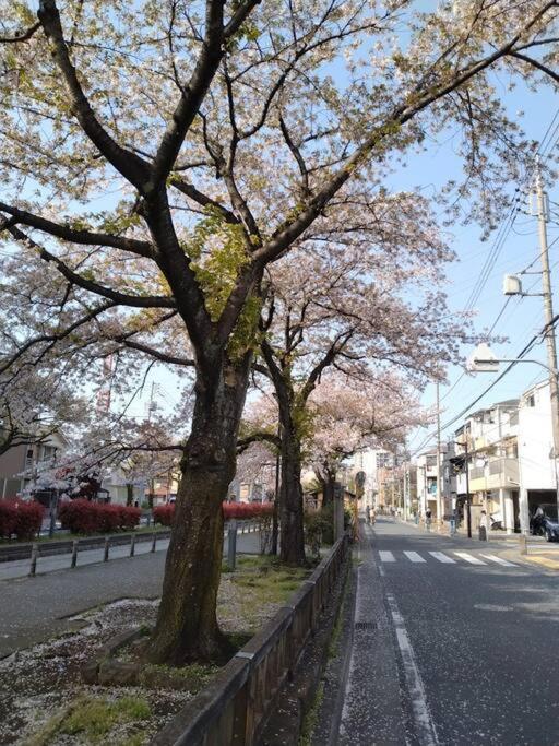 Guest house Detached Japanese Wooden House, A Rarity In Of Quiet Residential Area! Rent Out The Whole House 7 Min Walk From Jr Kameari Station